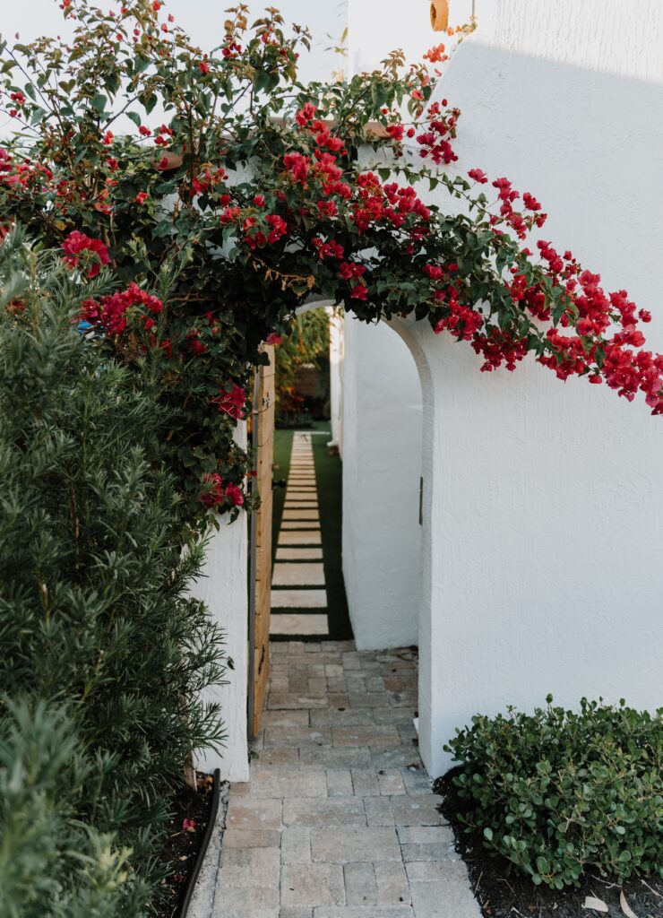 Greek design archway with climbing flowers