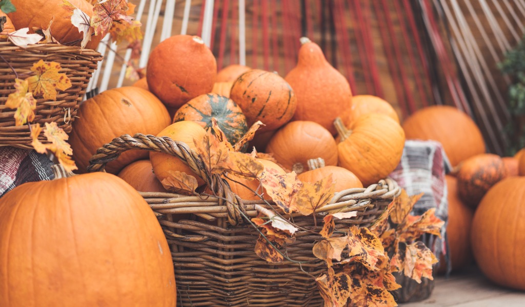 Landscape design details featuring a woven basket full of squash and pumpkins.