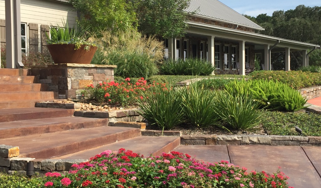 A front yard in Houston supported through year-round landscape maintenance, pruning, weeding and irrigation.
