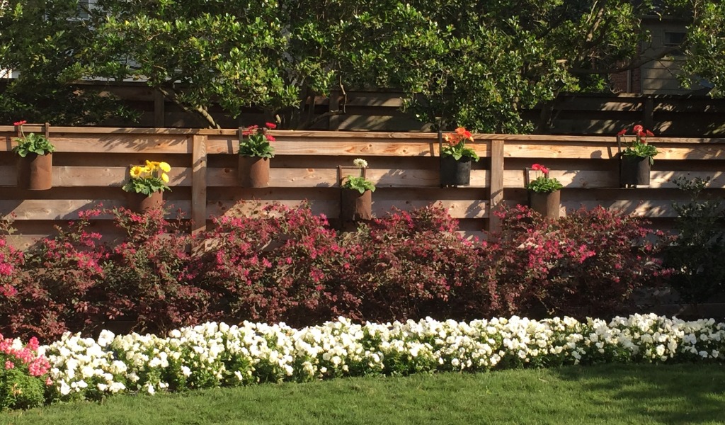 A healthy summer garden in Houston’s River Oaks neighborhood.