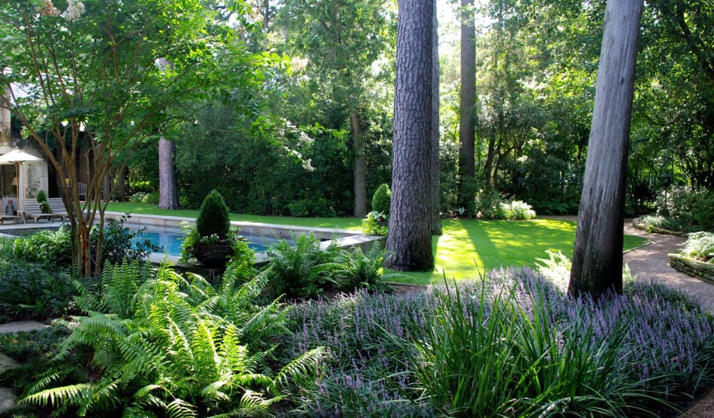 A gorgeous mature spring landscape kept healthy and vibrant through strategic fertilization.