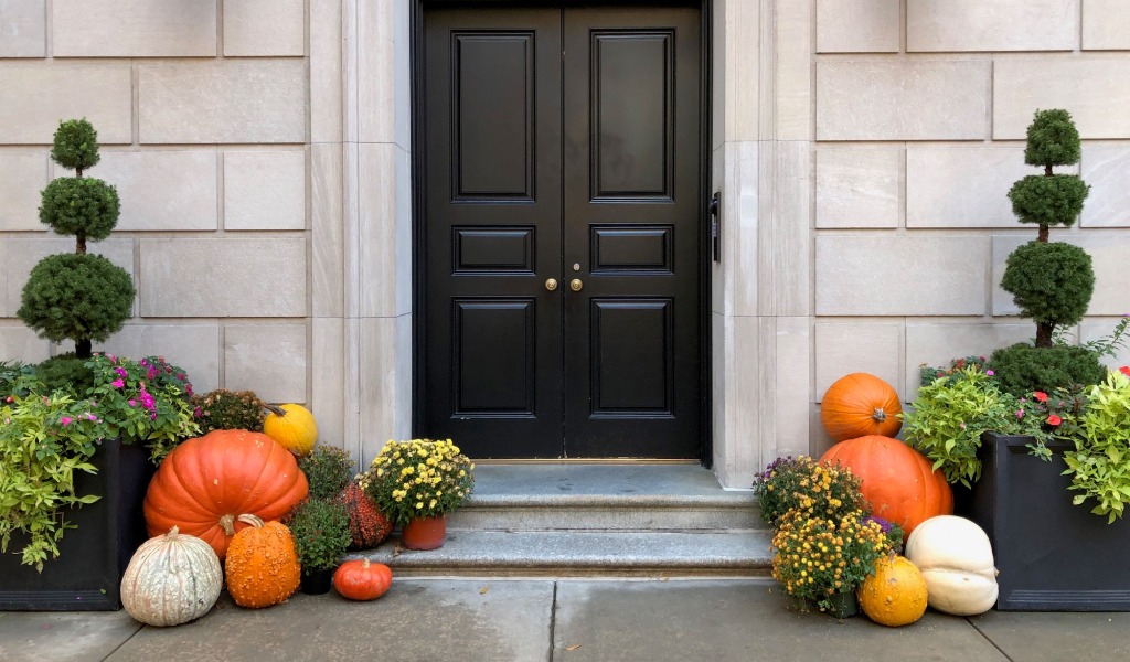 Front door with fall decorations, including yellow mums, colorful pumpkins and pruned shrubs in black planters.